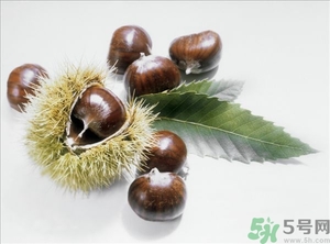 老人能喝板栗酒嗎？板栗怎么泡酒呢？