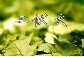 三伏天可以理發(fā)嗎？三伏天為什么不能理發(fā)？