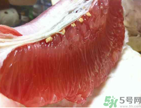 剝開的柚子能放冰箱嗎？柚子肉可以放冰箱嗎？