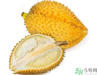 榴蓮早上吃還是晚上吃？早上吃榴蓮好嗎？