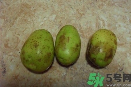 土豆發(fā)綠還能吃嗎？土豆發(fā)綠皮削皮后能吃嗎？