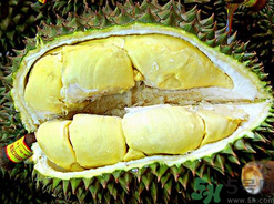 月經(jīng)期間可以吃榴蓮嗎？來月經(jīng)可以吃榴蓮嗎？