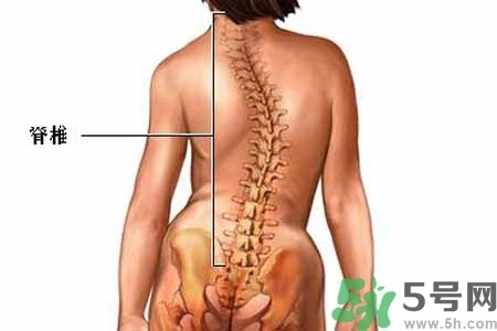 僵直性脊椎炎的癥狀有哪些？怎樣預防僵直性脊椎炎？