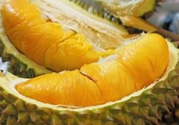 小孩能吃榴蓮嗎？榴蓮小孩能吃嗎？