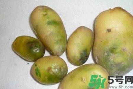 土豆發(fā)綠還能吃嗎？土豆發(fā)綠皮削皮后能吃嗎？