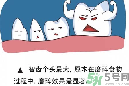 智齒拔完后有個洞怎么辦？拔智齒后有個洞多久能長好？