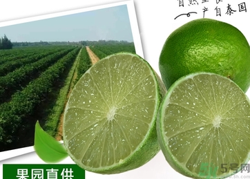 泰國檸檬怎么吃？泰國檸檬的功效作用