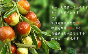 晚上吃棗子會胖嗎？晚上吃新鮮棗子會胖嗎？