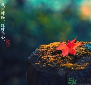 秋分做什么運(yùn)動(dòng)好？秋分運(yùn)動(dòng)注意事項(xiàng)