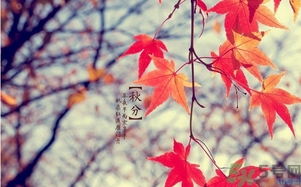 秋分做什么運(yùn)動(dòng)好？秋分運(yùn)動(dòng)注意事項(xiàng)
