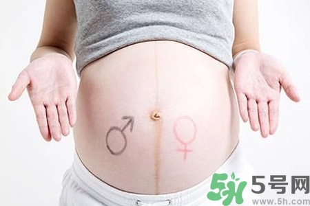 懷孕4個月肚子有多大？懷孕4個月需要注意什么？