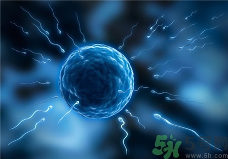 做試管嬰兒要多長(zhǎng)時(shí)間？做試管嬰兒可以選擇性別？