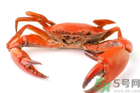 10月吃陽澄湖大閘蟹好嗎？大閘蟹怎么做好吃？