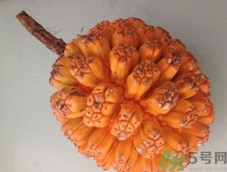 山菠蘿怎么吃？山菠蘿的功效與作用