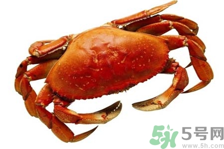 吃螃蟹后眼睛發(fā)暈怎么回事？吃螃蟹眼睛發(fā)暈怎么辦？