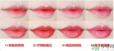 悅詩(shī)風(fēng)吟水韻凝采唇膏價(jià)格 悅詩(shī)風(fēng)吟水韻凝采唇膏怎么用？