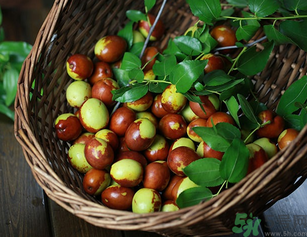 新鮮紅棗補(bǔ)血嗎？吃新鮮紅棗補(bǔ)血嗎？