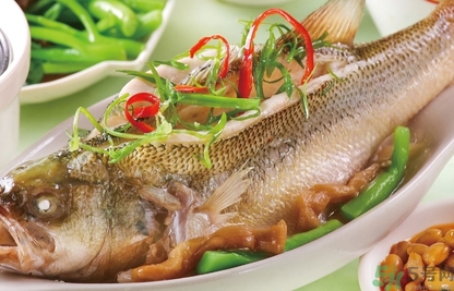鱸魚和桂魚哪個好吃？鱸魚和桂魚的區(qū)別