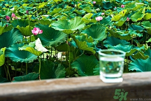 小蘇打能治癌癥嗎？蘇打水可以治癌癥嗎？