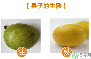 蛋黃果多少錢一斤？蛋黃果什么時候成熟？