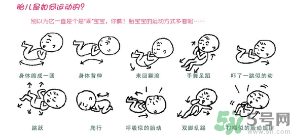胎動怎么數(shù)最正確？胎動有什么規(guī)律？