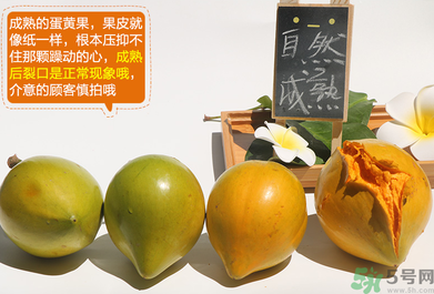蛋黃果怎么催熟？生的蛋黃果如何催熟？