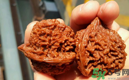 核桃長(zhǎng)蟲(chóng)了還能吃嗎？核桃長(zhǎng)蟲(chóng)子怎么處理？
