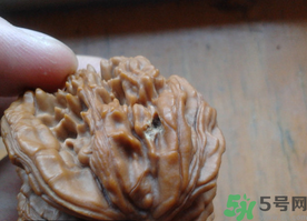 核桃長(zhǎng)蟲(chóng)了還能吃嗎？核桃長(zhǎng)蟲(chóng)子怎么處理？