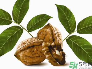 核桃一天吃幾個合適？核桃一天吃幾個最好？