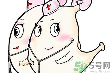 胃會餓小嗎？經(jīng)常肚子餓對胃有什么影響？