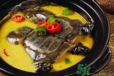 喝甲魚血能治陽痿嗎？甲魚血能喝嗎？