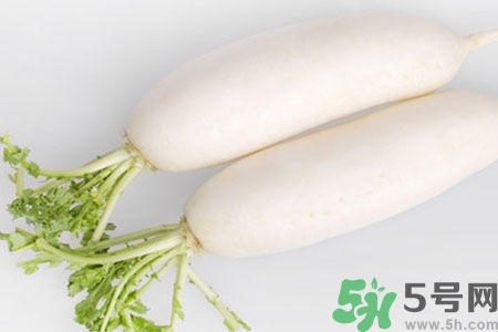 怎么挑白蘿卜好不好？挑選白蘿卜的小竅門