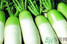 冬天吃白蘿卜好嗎？冬天怎么吃白蘿卜最好？