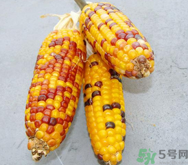彩色玉米是轉(zhuǎn)基因嗎？彩色玉米能吃嗎？