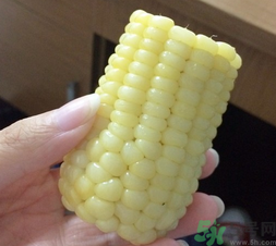 玉米沒煮熟能吃嗎？沒煮熟的玉米能吃嗎？