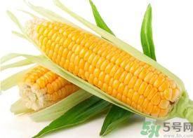新鮮玉米怎么保存？鮮玉米怎么保存？