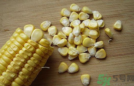 玉米?？梢葬炇裁呆~(yú)？玉米粒釣魚(yú)方法
