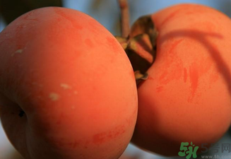大柿子不能和什么同吃？大柿子和什么食物相克？