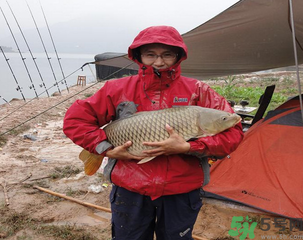 十月份可以釣魚(yú)嗎？十月份釣魚(yú)用什么餌料？