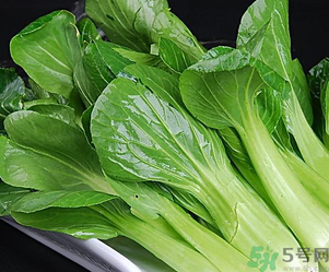 青菜可以放冰箱嗎？青菜能放冰箱保鮮嗎？
