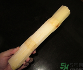 甘蔗可以放冰箱嗎？甘蔗放冰箱能保存多久？