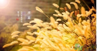 寒露吃什么好？寒露食療