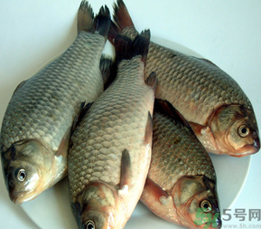 秋天釣鯽魚用什么餌料？秋天釣鯽魚用什么味餌？