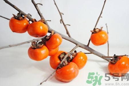 坐月子能吃脆柿子嗎？脯乳期可以吃脆柿子嗎？