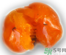 新鮮柿子皮可以吃嗎？吃了柿子皮怎么辦？