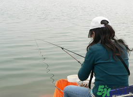秋天釣鯉魚用什么味型？秋季釣鯉魚餌料味型