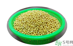 新鮮黃豆怎么保存？新鮮黃豆米如何保存？