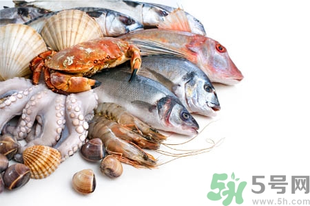 寒露吃海鮮胃不舒服為什么？寒露能吃海鮮嗎？