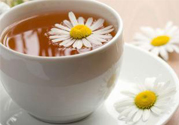 寒露喝什么茶好？寒露喝什么茶最養(yǎng)生？