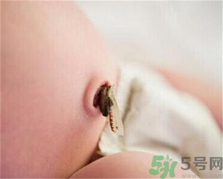 新生兒肚臍怎么護(hù)理？新生兒肚臍什么時候掉？